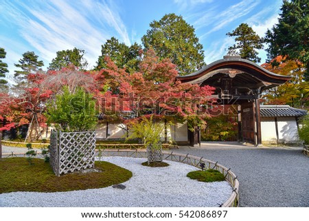 autumn in my dream japan