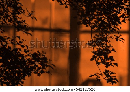 Dark silhouette of the Tree branches with leaves on yellow orange milky brown soft goldy lime colored background, or fragment of a tree at night, floral pattern. Ornament can be used as wallpaper