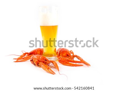 a tall glass of light beer and appetizer of boiled crayfish