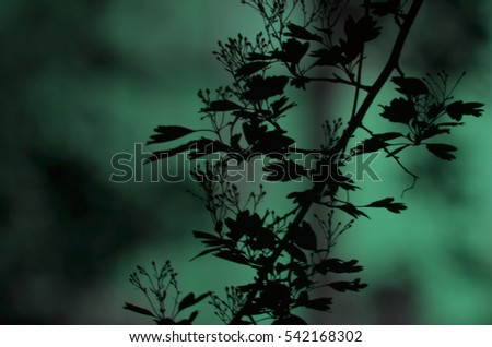 Tree branches with leaves on dark colored green blue lime yellow turquoise background or fragment of a tree at night with long exposure floral pattern. Ornament can be used as wallpaper, forest banner