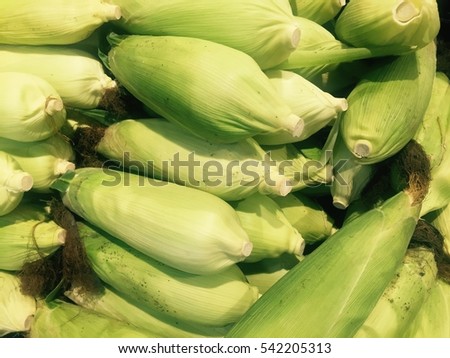 Ripe corn with green leaves on the wooden brown table, toned picture