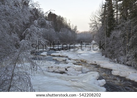 Stream in the winter with white water and ice and frosty birch in foreground , picture from the Northern Sweden.