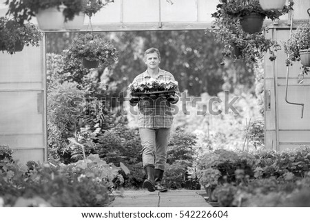 Portrait of gardener carrying crate with flower pots while entering greenhouse