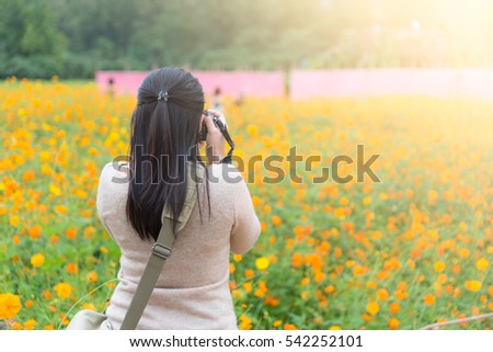 photographer taking photos in a beautiful meadow flowers in warm sunlight