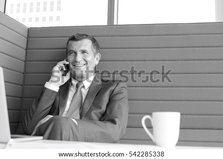 Smiling mature businessman talking on cell phone in office