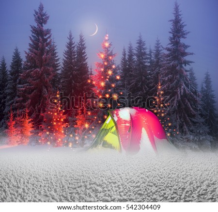 night in the Ukrainian Carpathians, on New Year's golden spruce, with a haze of golden light shine in fog with spectacular light effects Wild forest with Christmas tree after a snow storm  blizzard