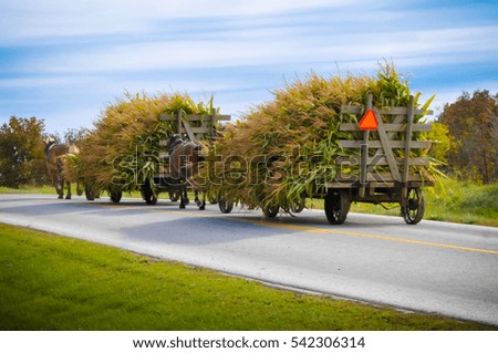 Amish Carts