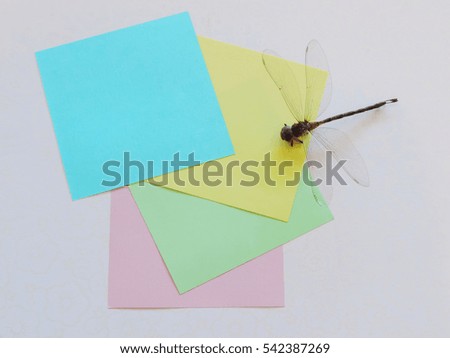 colorful blank paper for writing text and a dragonfly.                