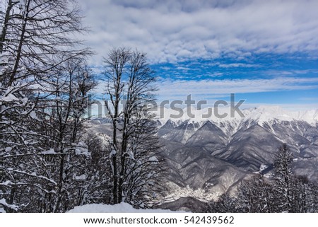 Panorama of very beautiful snowy mountains, trees, blue sky and clouds. Gorky gorod village, Krasnaya polyana, Sochi, Russia. 