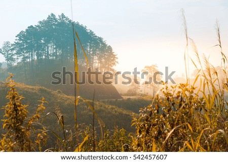 Morning sun rising at nice view of misty mountains. Road to mountains with clouds in blue sky.