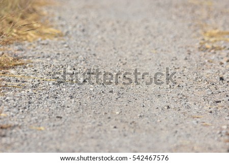 small pebble rock on dirty ground, blur background
