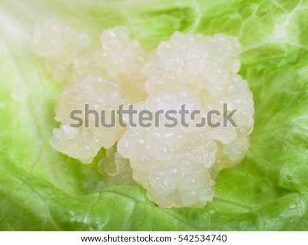 portion of salty caviar of halibut fish on green leaf