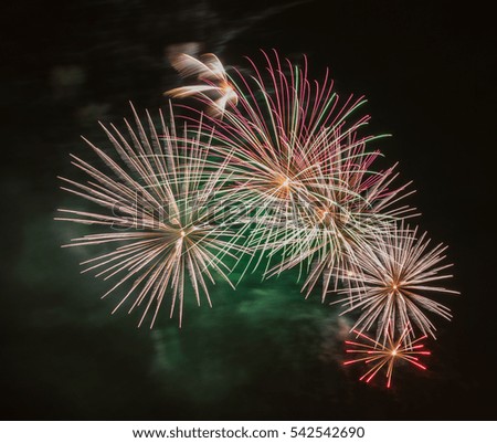 Brightly colorful fireworks  of various colors in the night sky background  