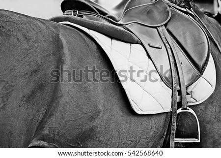 Picture of a saddle seat on horse back. Black and white tone.