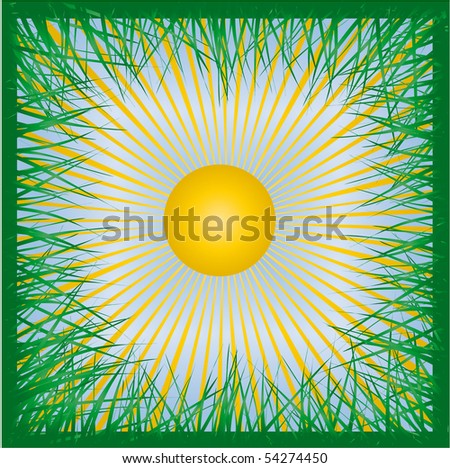 The frame of the grass. Vector illustration.