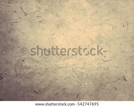 Abstract natural texture surface background