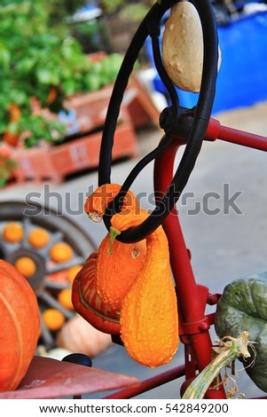 Local fruit shop, dealer in Princeton, British Columbia. Nice decoration with pumpkin, groud, fruits