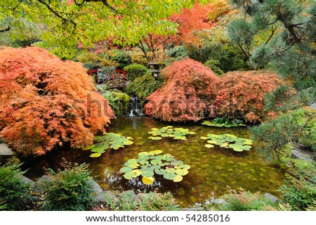  the japanese garden inside the famous historic butchart gardens (built in 1903), vancouver island, british columbia, canada