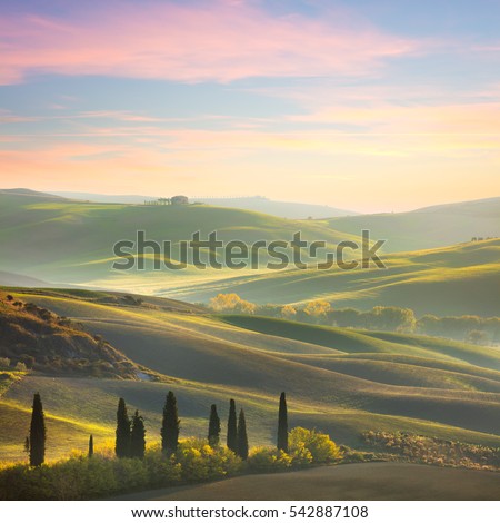 Unique Sundown tuscany landscape in spring time - wave hills, cypresses trees  and beautiful colors of sky. Tuscany, Italy, Europe Royalty-Free Stock Photo #542887108