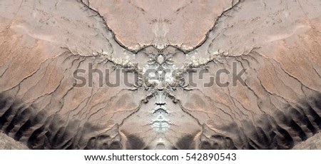 insect,Tribute to Dalí, abstract symmetrical photograph of the deserts of Africa from the air, aerial view,abstract expressionism,mirror effect, symmetry,kaleidoscopic