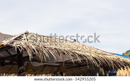 Thatched roof background sky