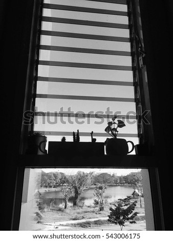 Window frame silhouette plant abstract monochrome