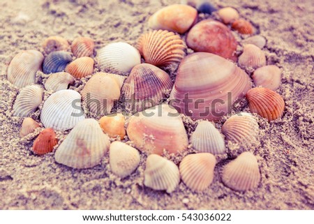 Group of shell on sand in heart shape.