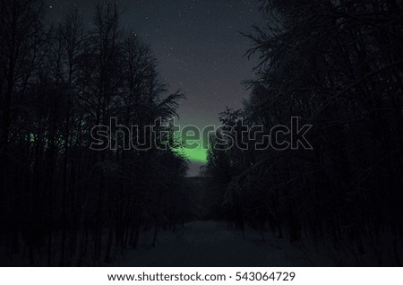long winter road in birch tree forest with aurora borealis in the center
