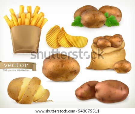 Potato and fry chips. Vegetable 3d vector icon set Royalty-Free Stock Photo #543075511