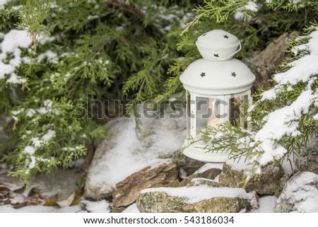 Beautiful white lantern in the snow. Candle in the snow on a background of a green  juniper bush