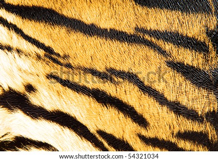 Imitation of tiger leather as a background