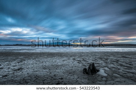 Long exposure seascape during blue hour sunset with rocks and roots as foreground. Nature composition