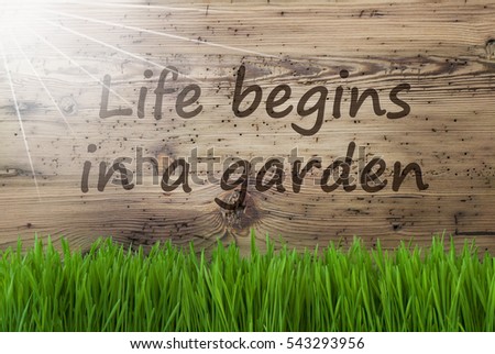 Sunny Wooden Background, Gras, Quote Life Begins In A Garden