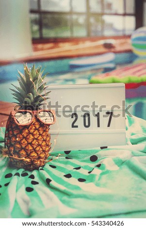2017 lightbox with pineapple
