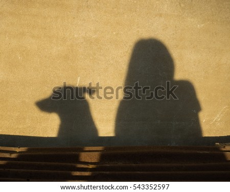 shadow  woman and dog on dirty wall.