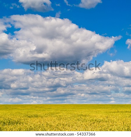 beautiful landscape with blue sky and white clouds