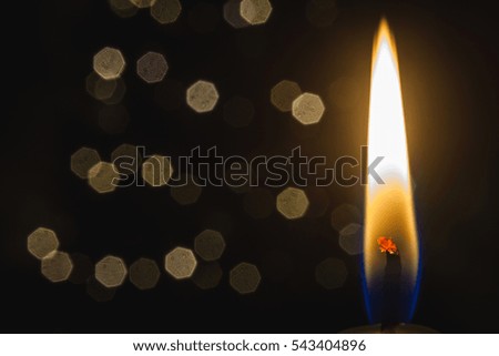 a burning candle in front of xmas tree