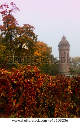 Primorsk, Russia, Kaliningrad region, fog, autumn, water tower