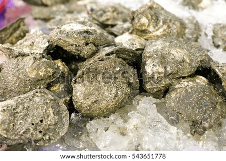 Traditional fish market stall full of fresh shell oysters
