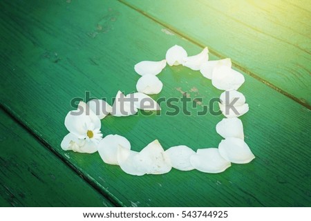 Heart made of white rose petals. White heart with Daisy on a green  background.