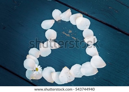 Heart made of white rose petals. White heart with Daisy on a blue  background.