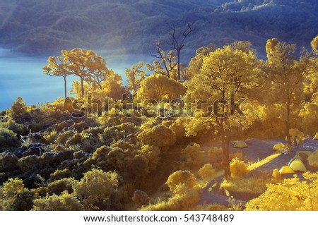 nature infrared picture thailand