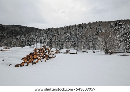 wooden log store under snow in winter pine forest