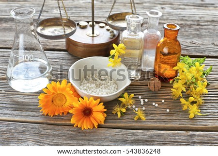 Calendula, hypericum, vintage bottles, scale , mortar , homeopathic globuli  on wooden table 