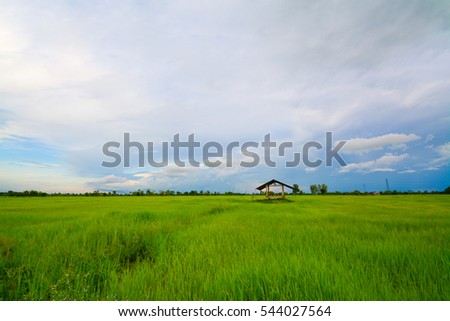 Picture of meadow with small house in the middle of the field, cool atmosphere, relaxing.