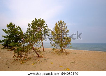 Summer Landscape, Lake Baikal