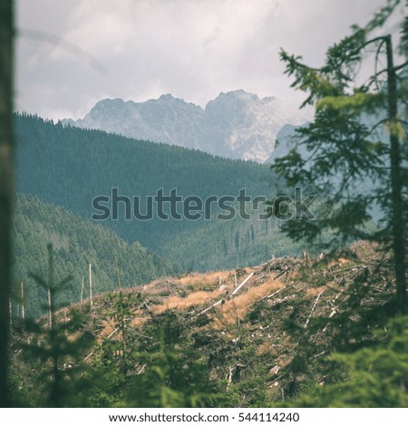 Misty morning mountain view with peaks in mist and forest trees in Slovakia - instant vintage square photo