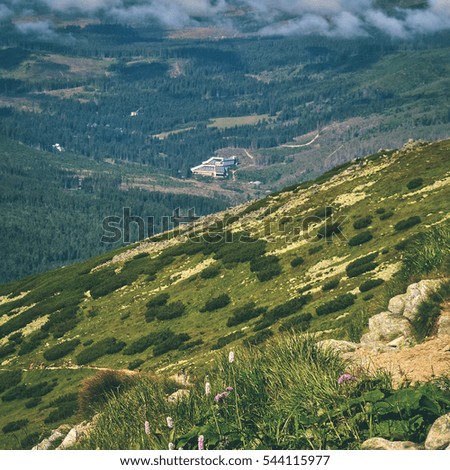 colorful countryside view in carpathians. mountains and forest trees with green meadows - instant vintage square photo