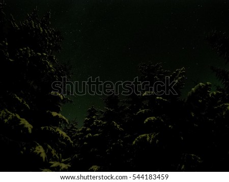green glow from northern light on snowy spruce tree forest with star sky background