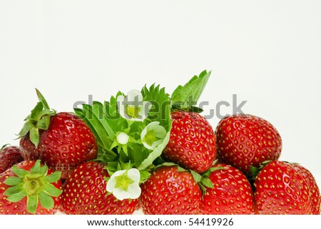 fresh strawberry fruits with flowers and green leaves isolated on white background